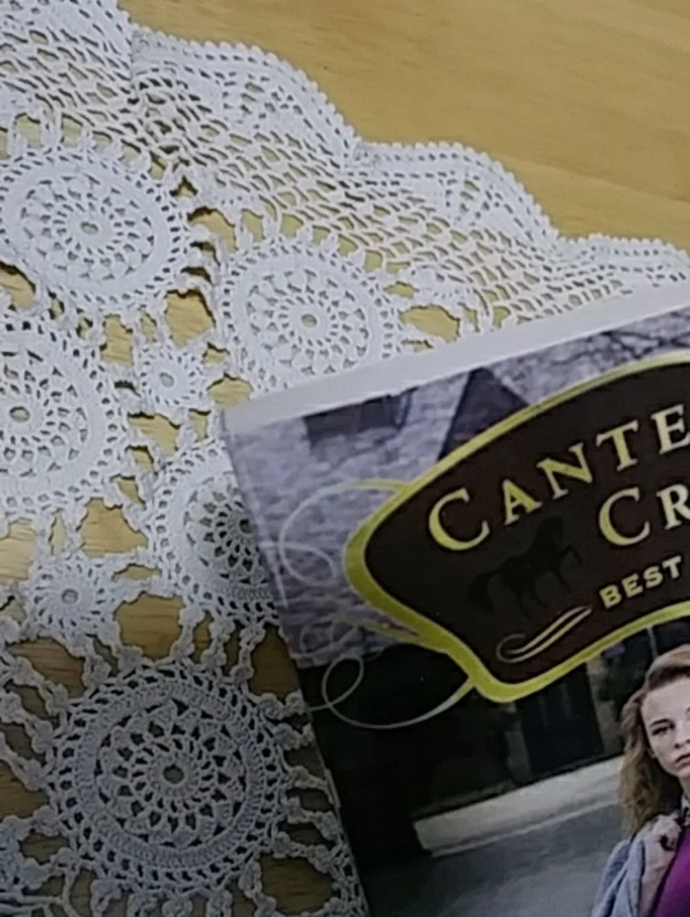 Middle Grade Kid's book bundle -  Canterwood Crest by Jessica Burkhart